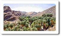 Indian Canyons