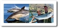 Whale Watching & Sportfishing