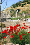 06-03 Ephaesus IMG_2498 web.JPG (202118 bytes)