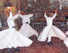 05-30 Whirling Dervish P1010047 web.JPG (265607 bytes)