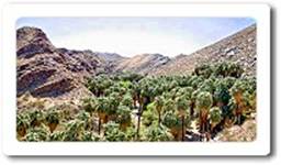 Indian Canyons