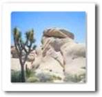 Joshua Tree National Park